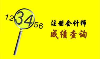 注冊(cè)會(huì)計(jì)師成績(jī)查詢