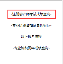 2018注冊會計師成績查詢?nèi)肟?png